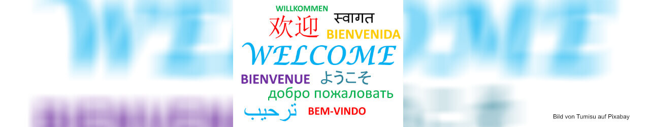Onlineshop in mehreren Sprachen
